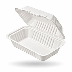 Bagasse Packaging